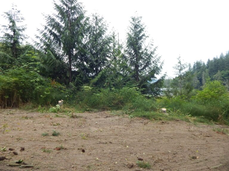 Land clearing can be done in ways that respect and preserve the landscape