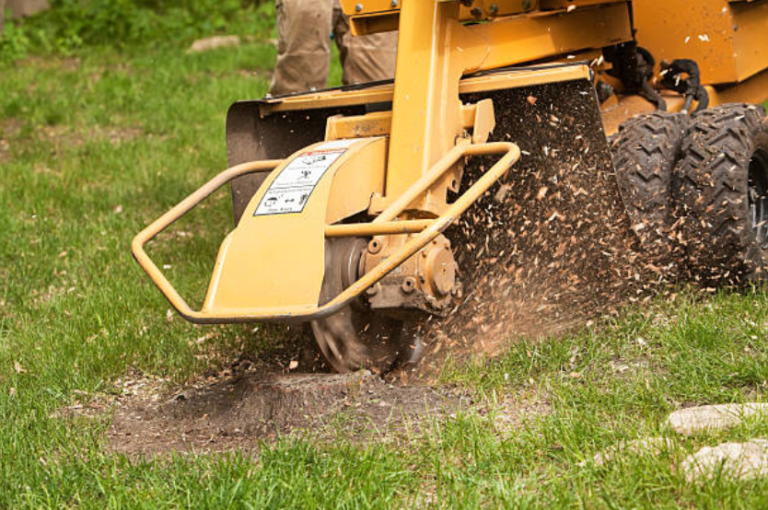 Stump grinding is a great alternative to full stump removal